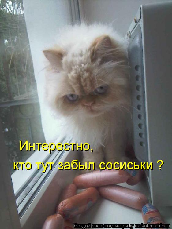 Интерестно, кто тут забыл сосиськи ?... Котоматрица: Интерестно, кто тут забыл сосиськи ?