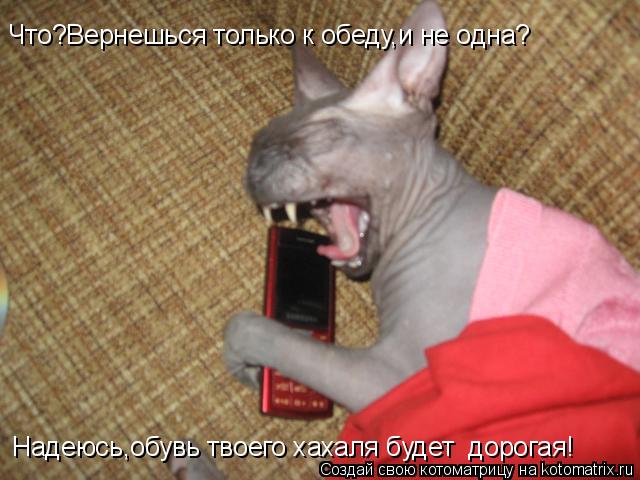 Надеюсь,обувь твоего хахаля будет дорогая! Что?Вернешься только к обеду,и не одна?... Котоматрица: Надеюсь,обувь твоего хахаля будет дорогая! Что?Вернешься только к обеду,и не одна?