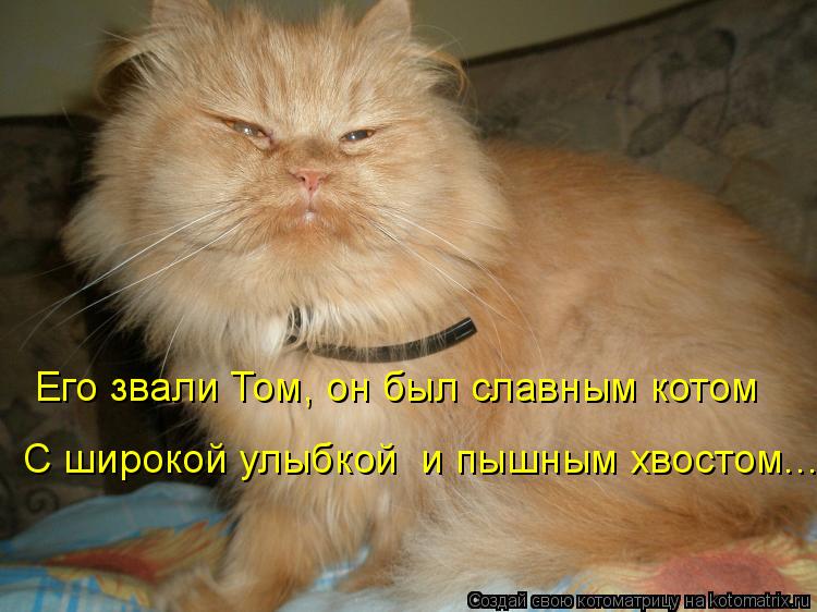 Котоматрица: Его звали Том, он был славным котом С широкой улыбкой  и пышным хвостом...