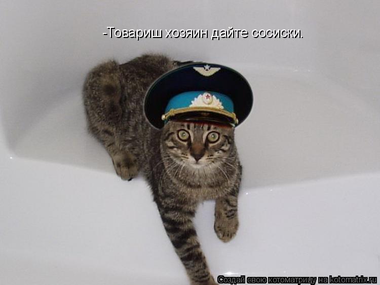-Товариш хозяин дайте сосиски.... Котоматрица: -Товариш хозяин дайте сосиски.