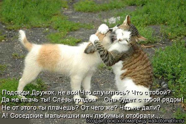 Подожди,Дружок, не вой!Что случилось? Что с тобой? Да не плачь ты! Слёзы градом... Она будет с тобой ... Котоматрица: Подожди,Дружок, не вой!Что случилось? Что с тобой? Да не плачь ты! Слёзы градом... Она будет с тобой рядом! Не от этого ты плачешь? От чего же? Чт