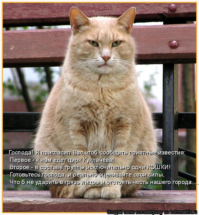 Что б не ударить в грязь лицом и отстоять честь нашего города.... Готовьтесь,господа, и реально оцен... Котоматрица: Что б не ударить в грязь лицом и отстоять честь нашего города.... Готовьтесь,господа, и реально оценивайте свои силы, Господа! Я пригласил Ва