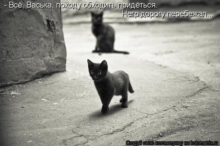 - Всё, Васька, походу обходить придёться. Негр дорогу перебежал...... Котоматрица: - Всё, Васька, походу обходить придёться. Негр дорогу перебежал...