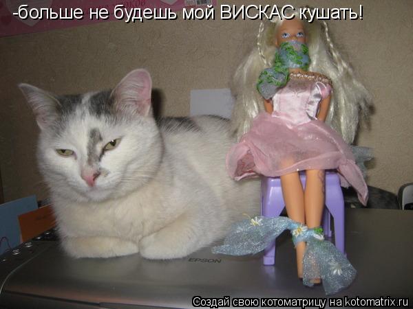 -больше не будешь мой ВИСКАС кушать!... Котоматрица: -больше не будешь мой ВИСКАС кушать!