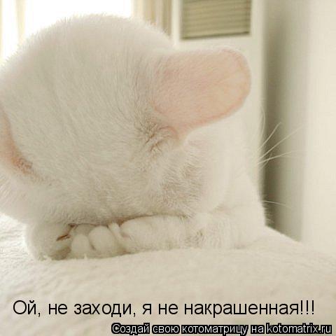 Ой, не заходи, я не накрашенная!!!... Котоматрица: Ой, не заходи, я не накрашенная!!!