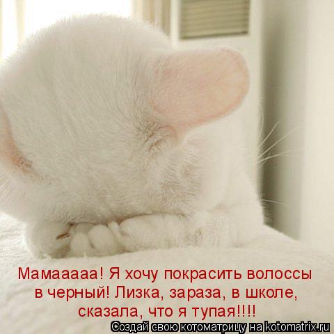 Мамааааа! Я хочу покрасить волоссы в черный! Лизка, зараза, в школе, сказала, что я тупая!!!!... Котоматрица: Мамааааа! Я хочу покрасить волоссы в черный! Лизка, зараза, в школе, сказала, что я тупая!!!!
