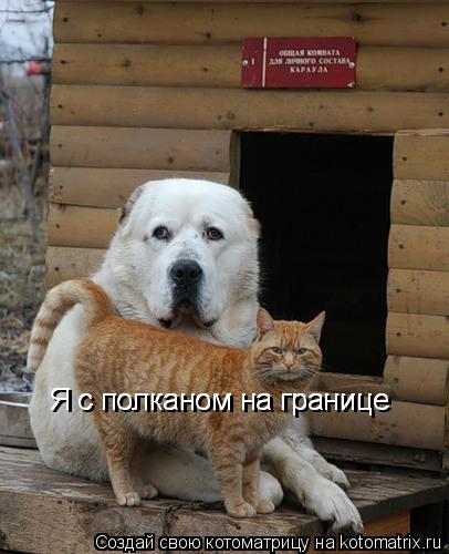 Я с полканом на границе Я с полканом на границе... Котоматрица: Я с полканом на границе Я с полканом на границе