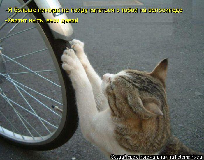 -Я больше никогда не пойду кататься с тобой на велосипеде -Хватит ныть, вези давай... Котоматрица: -Я больше никогда не пойду кататься с тобой на велосипеде -Хватит ныть, вези давай