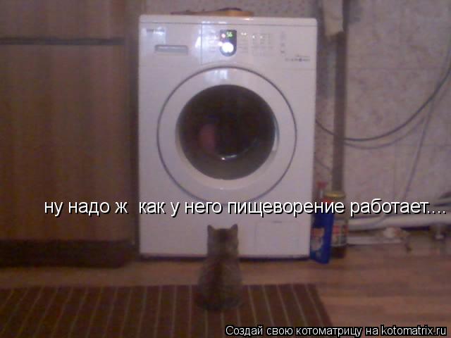 ну надо ж как у него пищеворение работает....... Котоматрица: ну надо ж как у него пищеворение работает....