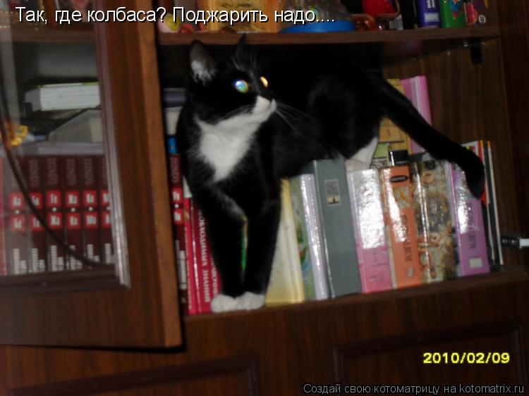 Так, где колбаса? Поджарить надо....... Котоматрица: Так, где колбаса? Поджарить надо....