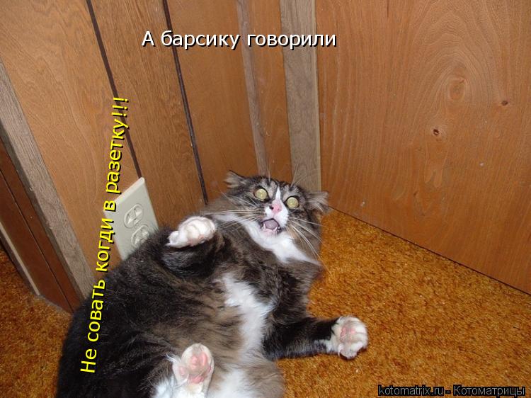 А барсику говорили Не совать когди в разетку!!!... Котоматрица: А барсику говорили Не совать когди в разетку!!!