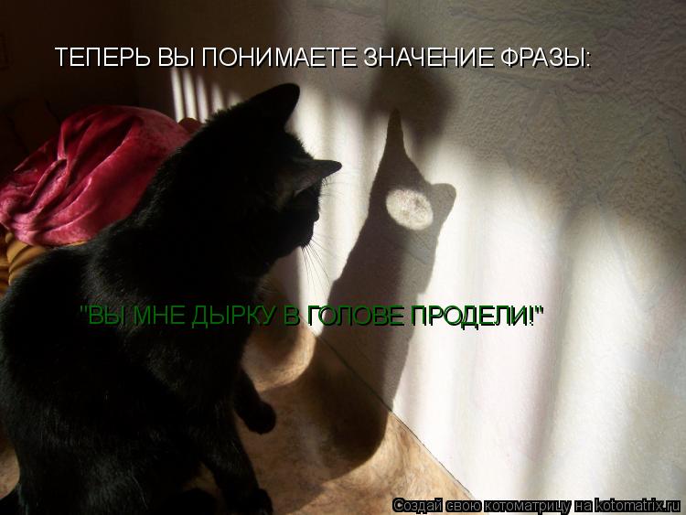 ТЕПЕРЬ ВЫ ПОНИМАЕТЕ ЗНАЧЕНИЕ ФРАЗЫ: "ВЫ МНЕ ДЫРКУ В ГОЛОВЕ ПРОДЕЛИ!"... Котоматрица: ТЕПЕРЬ ВЫ ПОНИМАЕТЕ ЗНАЧЕНИЕ ФРАЗЫ: "ВЫ МНЕ ДЫРКУ В ГОЛОВЕ ПРОДЕЛИ!"