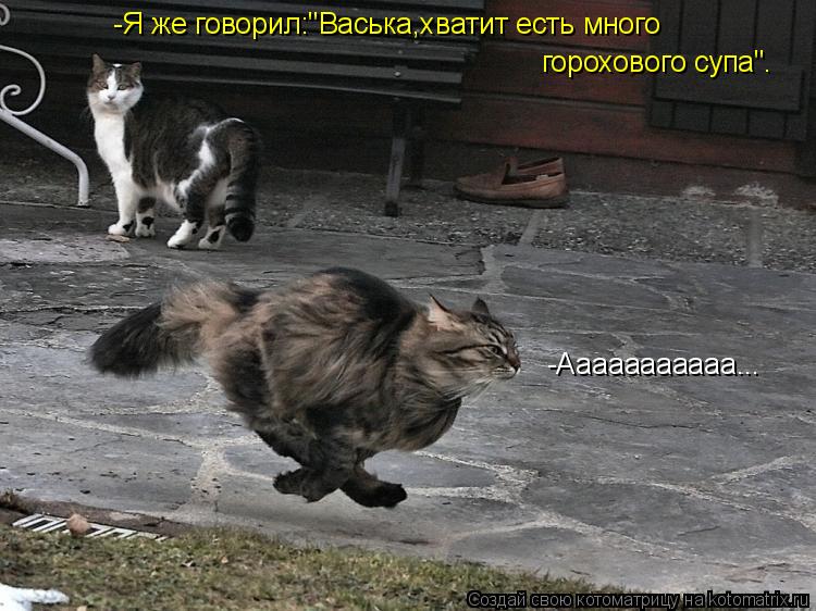 -Ааааааааааа... -Я же говорил:"Васька,хватит есть много горохового супа".... Котоматрица: -Ааааааааааа... -Я же говорил:"Васька,хватит есть много горохового супа".