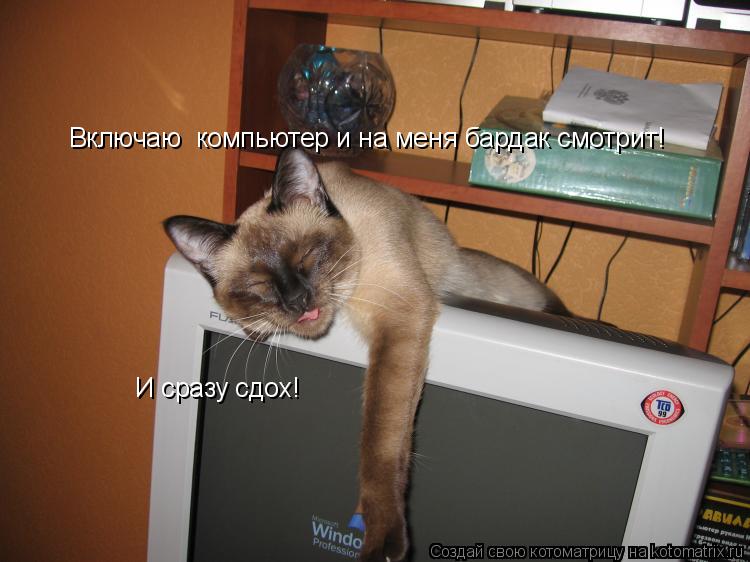 Включаю компьютер и на меня бардак смотрит! И сразу сдох!... Котоматрица: Включаю компьютер и на меня бардак смотрит! И сразу сдох!