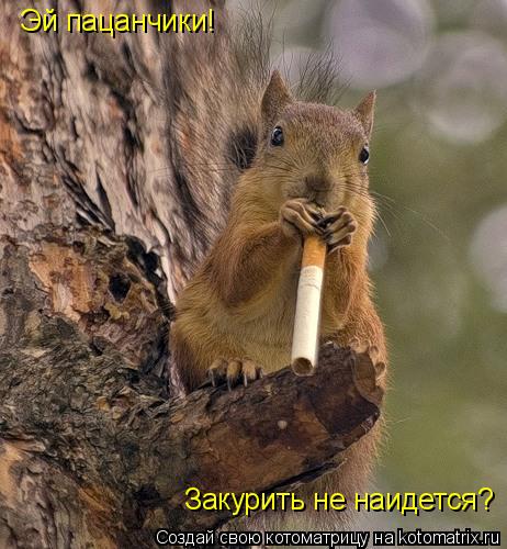 Эй пацанчики! Закурить не наидется?... Котоматрица: Эй пацанчики! Закурить не наидется?