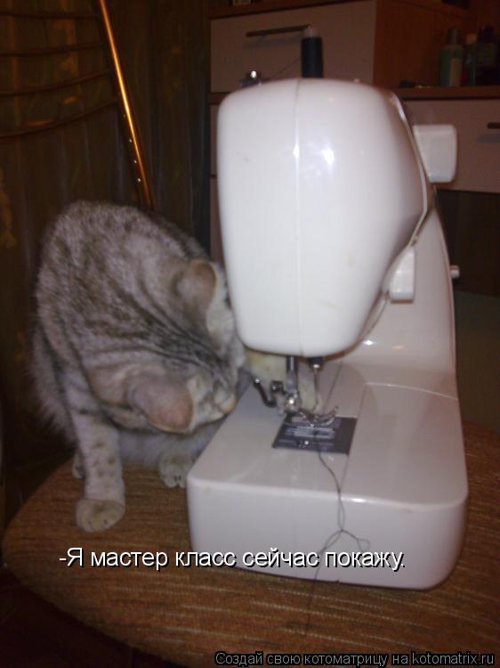 -Я мастер класс сейчас покажу.... Котоматрица: -Я мастер класс сейчас покажу.