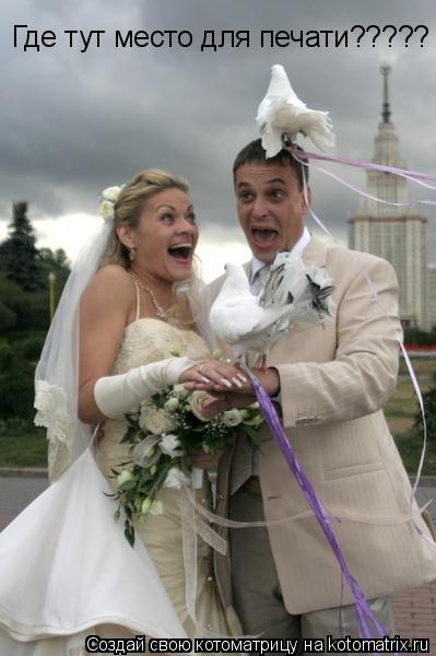Котоматрица: Где тут место для печати?????