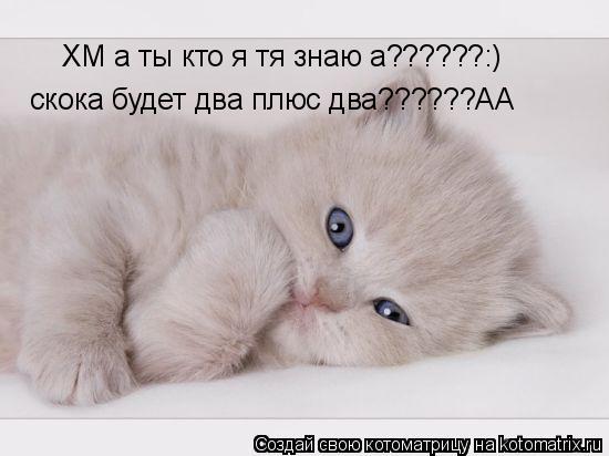 ХМ а ты кто я тя знаю а??????:) скока будет два плюс два??????АА... Котоматрица: ХМ а ты кто я тя знаю а??????:) скока будет два плюс два??????АА