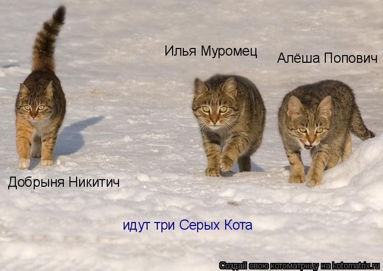 Илья Муромец Добрыня Никитич Алёша Попович идут три Серых Кота... Котоматрица: Илья Муромец Добрыня Никитич Алёша Попович идут три Серых Кота