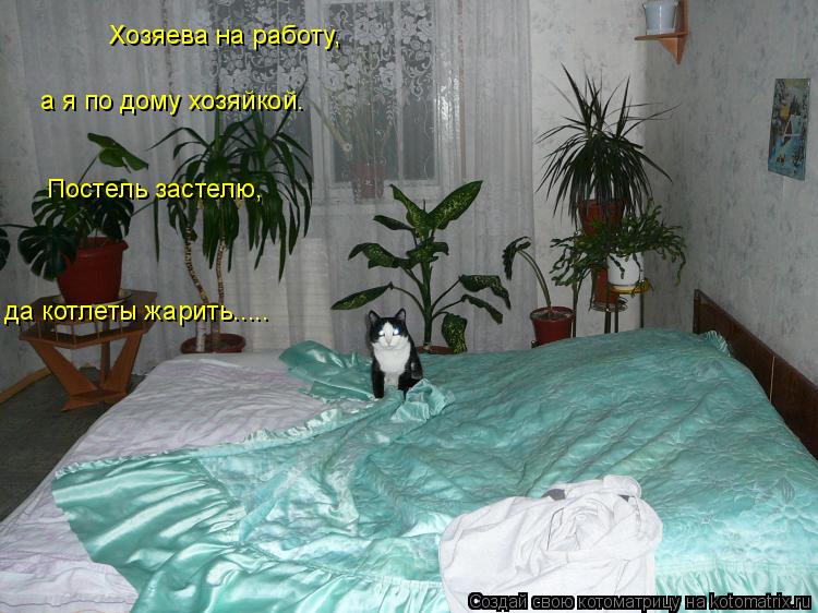 Котоматрица: Хозяева на работу, а я по дому хозяйкой. Постель застелю, да котлеты жарить.....