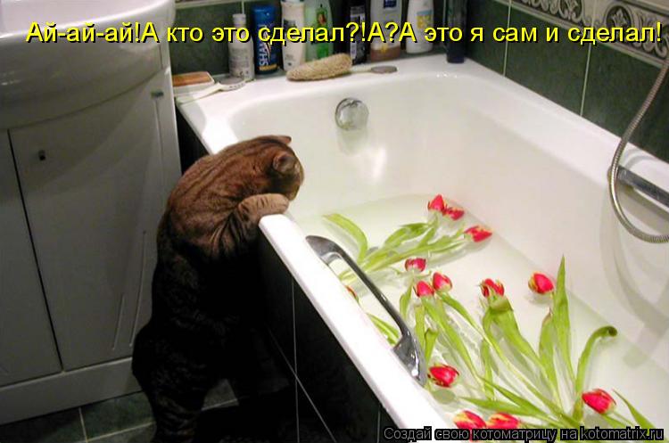 Котоматрица: Ай-ай-ай!А кто это сделал?!А?А это я сам и сделал!