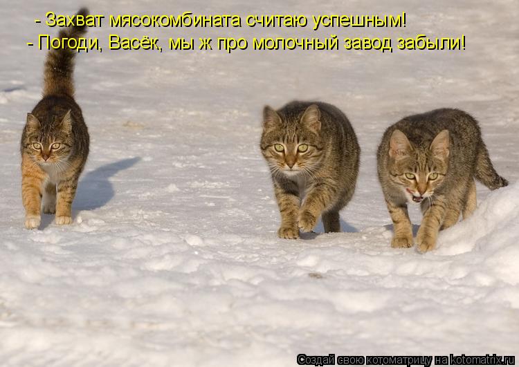 - Захват мясокомбината считаю успешным! - Погоди, Васёк, мы ж про молочный завод забыли!... Котоматрица: - Захват мясокомбината считаю успешным! - Погоди, Васёк, мы ж про молочный завод забыли!