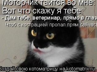 Моторчик таится во мне: Вот что скажу я тебе: - Дам тебе, ветеринар, прямо в глаз Чтоб с кострацией... Котоматрица: Моторчик таится во мне: Вот что скажу я тебе: - Дам тебе, ветеринар, прямо в глаз Чтоб с кострацией пропал прям сейчас!