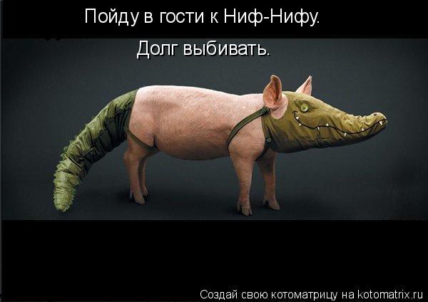 Пойду в гости к Ниф-Нифу. Долг выбивать.... Котоматрица: Пойду в гости к Ниф-Нифу. Долг выбивать.