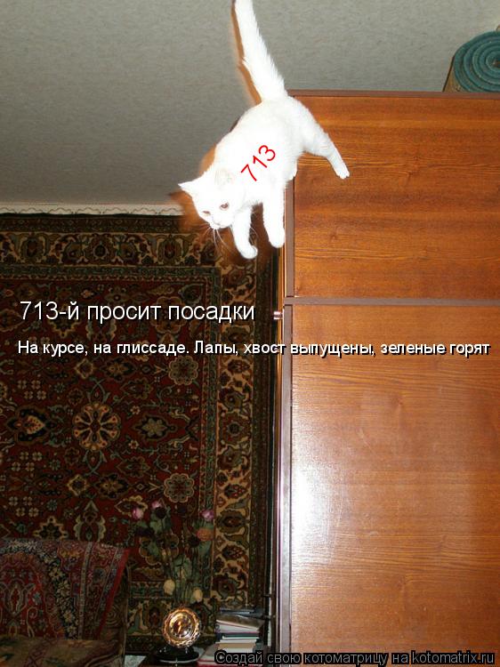 На курсе, на глиссаде. Лапы, хвост выпущены, зеленые горят 713-й просит посадки 713... Котоматрица: На курсе, на глиссаде. Лапы, хвост выпущены, зеленые горят 713-й просит посадки 713