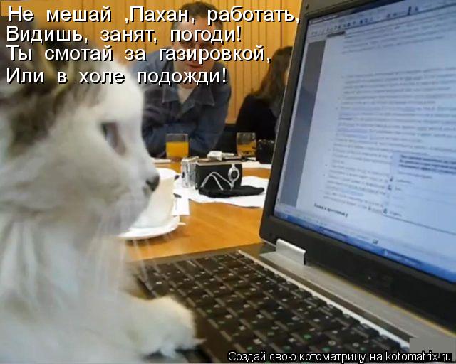 Не мешай ,Пахан, работать, Видишь, занят, погоди! Ты смотай за газировкой, Или в холе подо... Котоматрица: Не мешай ,Пахан, работать, Видишь, занят, погоди! Ты смотай за газировкой, Или в холе подожди!