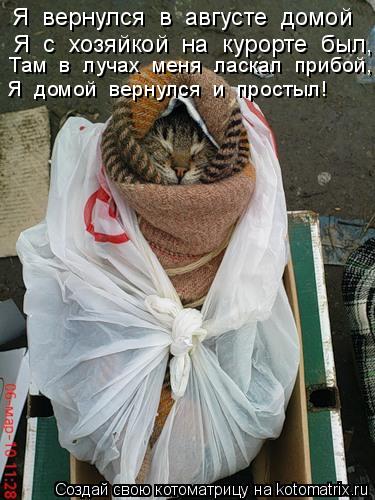 Я вернулся в августе домой Я с хозяйкой на курорте был, Там в лучах меня ласкал прибой,... Котоматрица: Я вернулся в августе домой Я с хозяйкой на курорте был, Там в лучах меня ласкал прибой, Я домой вернулся и простыл!