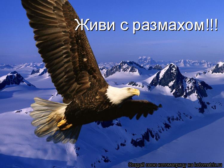 Живи с размахом!!!... Котоматрица: Живи с размахом!!!
