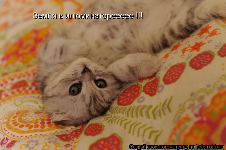 Земля в илюминатореееее !!!... Котоматрица: Земля в илюминатореееее !!!