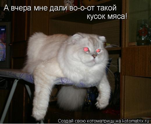 А вчера мне дали во-о-от такой кусок мяса!... Котоматрица: А вчера мне дали во-о-от такой кусок мяса!