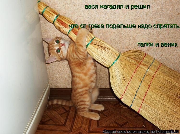 вася нагадил и решил что от греха подальше надо спрятать тапки и веник... Котоматрица: вася нагадил и решил что от греха подальше надо спрятать тапки и веник