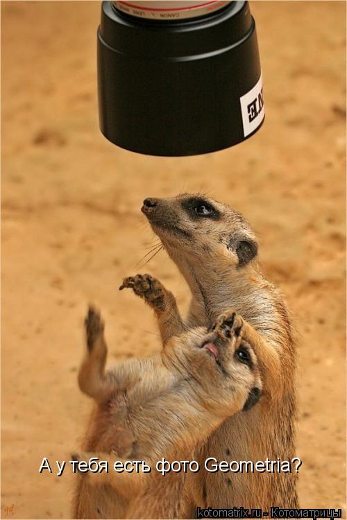 А у тебя есть фото Geometria?... Котоматрица: А у тебя есть фото Geometria?