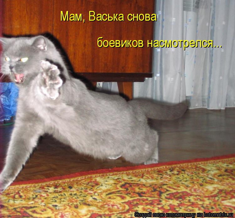 Мам, Васька снова боевиков насмотрелся...... Котоматрица: Мам, Васька снова боевиков насмотрелся...