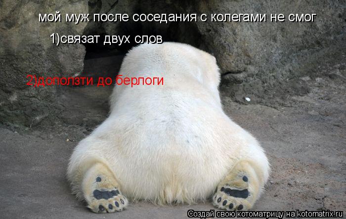мой муж после соседания с колегами не смог 1)связат двух слов 2)доползти до берлоги... Котоматрица: мой муж после соседания с колегами не смог 1)связат двух слов 2)доползти до берлоги