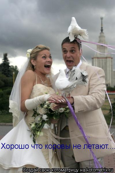 Хорошо что коровы не летают....... Котоматрица: Хорошо что коровы не летают....