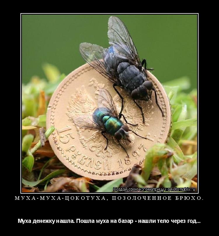 Котоматрица: Муха-муха-цокотуха, позолоченное брюхо. Муха денежку нашла. Пошла муха на базар - нашли тело через год...