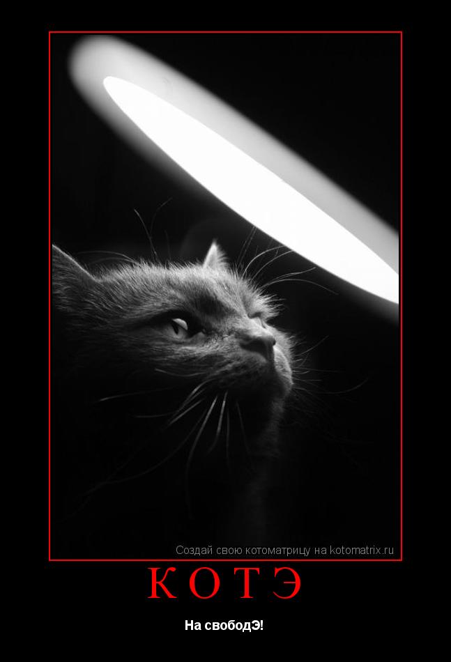 Котоматрица: КоТэ На свободЭ!