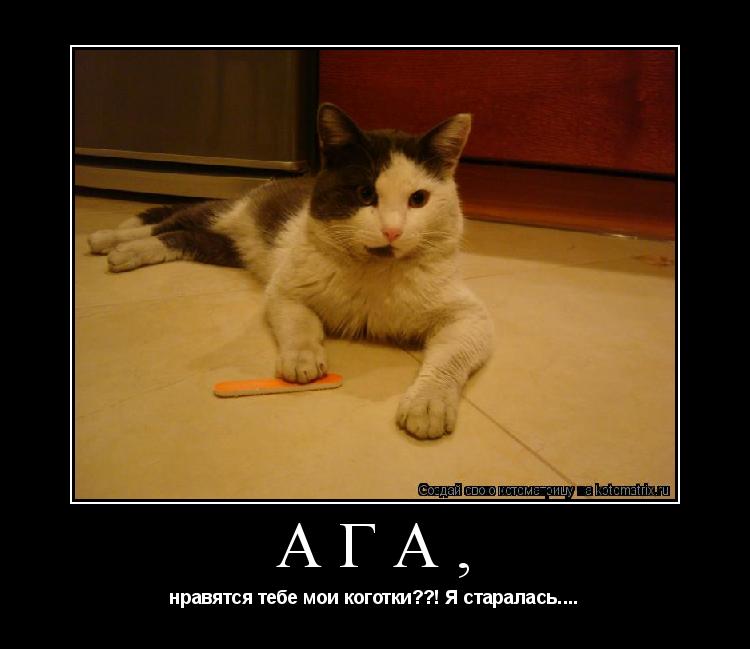 Ага, нравятся тебе мои коготки??! Я старалась.... ... Котоматрица: Ага, нравятся тебе мои коготки??! Я старалась....