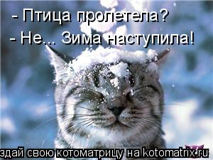 - Птица пролетела? - Не... Зима наступила!... Котоматрица: - Птица пролетела? - Не... Зима наступила!