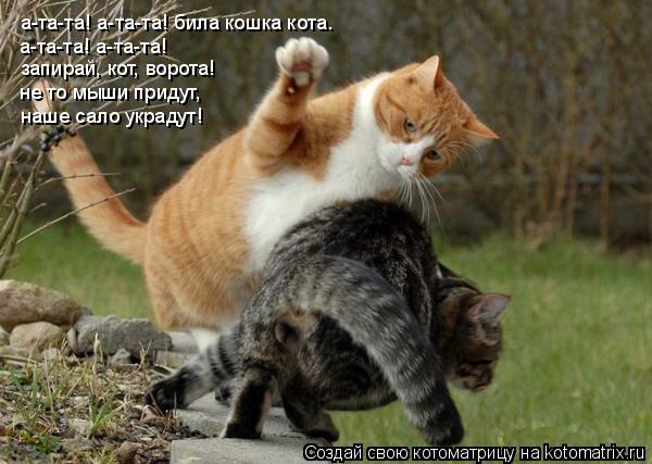 Котоматрица: а-та-та! а-та-та! била кошка кота. а-та-та! а-та-та! запирай, кот, ворота! не то мыши придут, наше сало украдут!