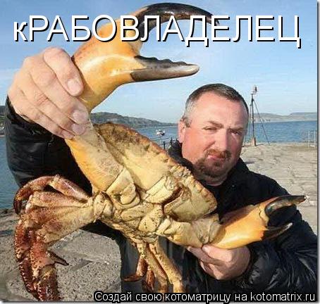 Котоматрица: кРАБОВЛАДЕЛЕЦ