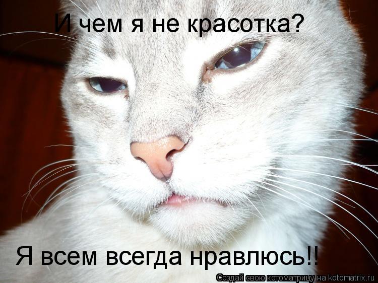 И чем я не красотка? Я всем всегда нравлюсь!!... Котоматрица: И чем я не красотка? Я всем всегда нравлюсь!!