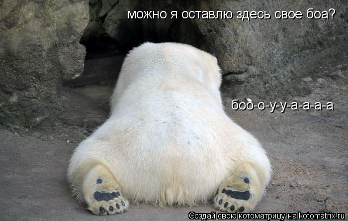 Котоматрица: можно я оставлю здесь свое боа? боo-o-y-y-а-а-а-а