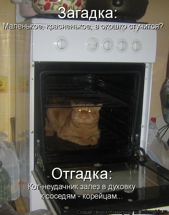 Котоматрица: Загадка: Маленькое, красненькое, в окошко стучится? Отгадка: Кот-неудачник залез в духовку к соседям - корейцам...