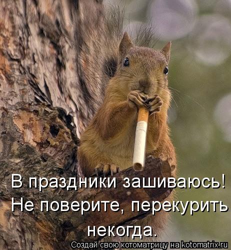 Котоматрица: В праздники зашиваюсь! Не поверите, перекурить некогда.