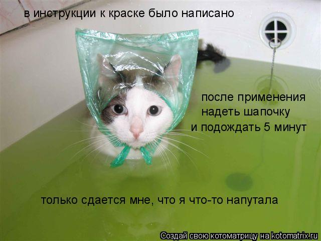 Котоматрица: в инструкции к краске было написано после применения надеть шапочку и подождать 5 минут только сдается мне, что я что-то напутала